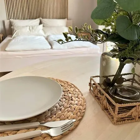 Skandi Design 1 Studio Near Residenz וירצבורג